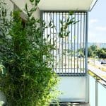Zabudowa balkonu z lamelami pion aluminium. Zielona roślinność na balkonie z widokiem na miasto.